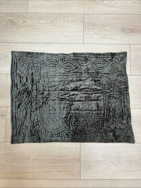 Pine Cone Hill Velvet Standard Sham